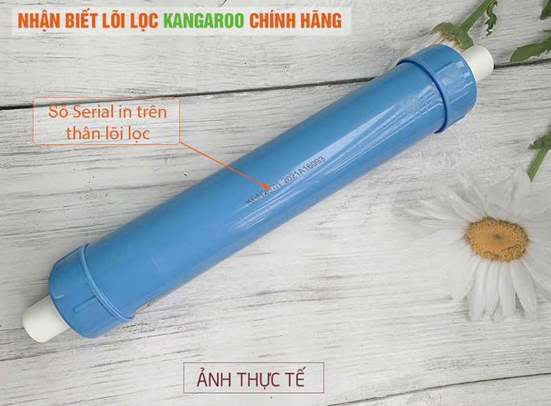 Chi tiết lõi Nanosilver Kangaroo
