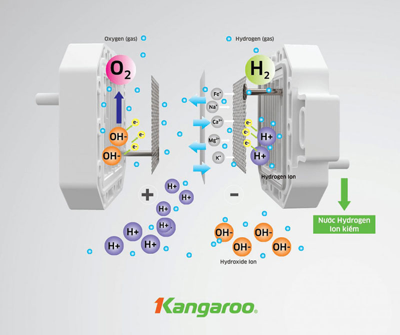 Công nghệ điện phân nước RO Kangaroo KG100EED