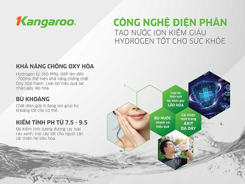 Hệ thống lõi lọc đúc nguyên khối Kangaroo