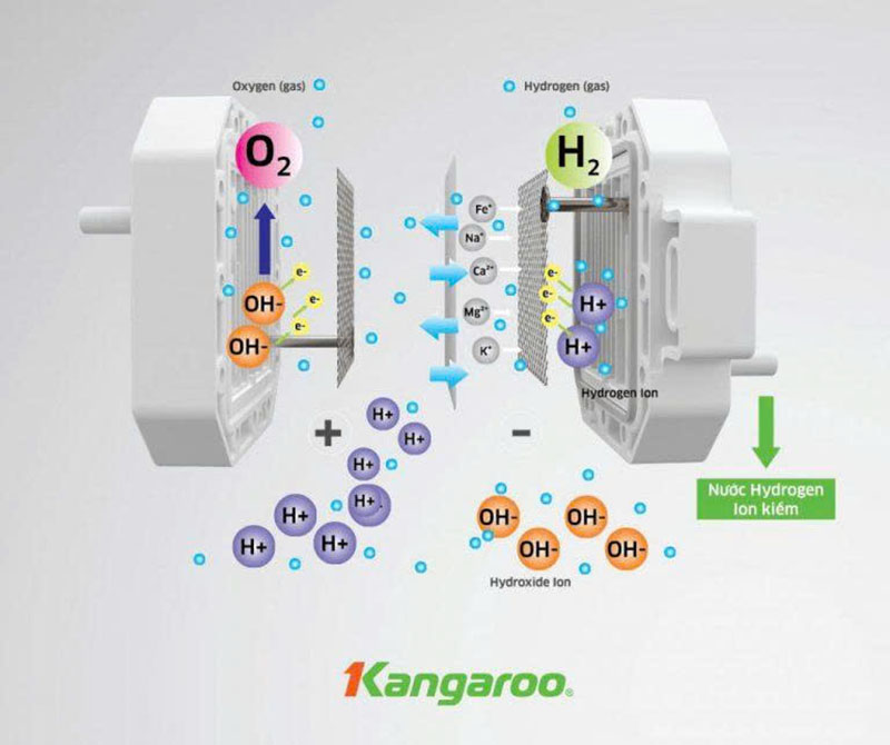 Công nghệ điện phân nước RO Kangaroo KG100MED