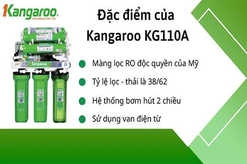 Lắp đặt Kangaroo KG110A-KV tủ bếp