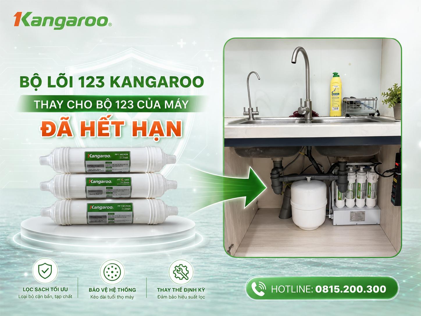 Vị trí thay bộ 123 đúc Kangaroo loại 1