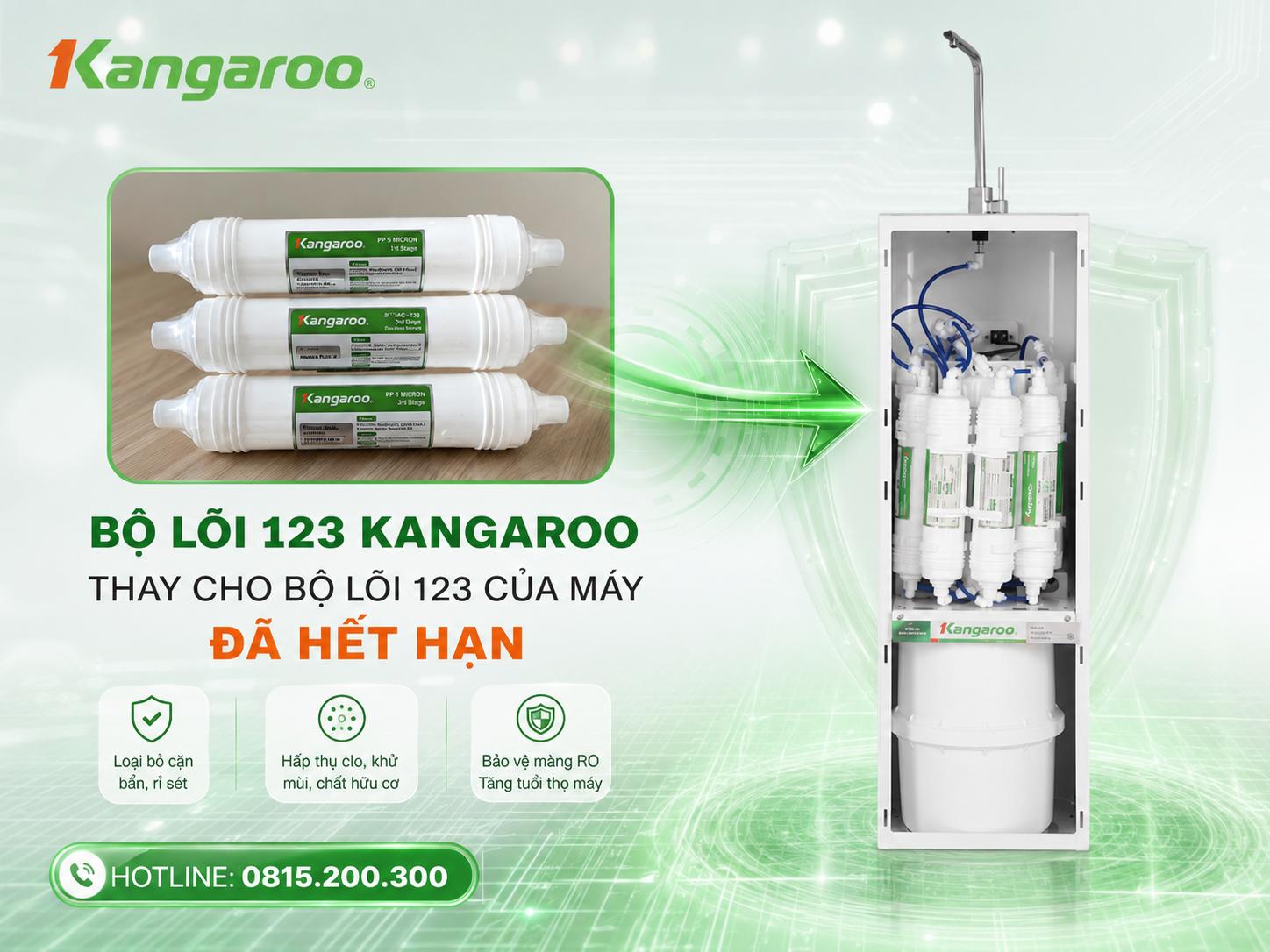 Vị trí thay bộ 123 đúc Kangaroo loại 2