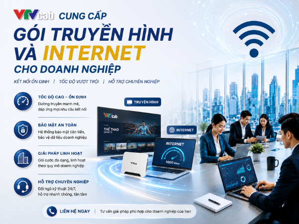 Dịch vụ truyền hình, Internet dành cho doanh nghiệp