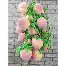 Dây củ quả, dây nông sản trang trí chợ quê , nhà hàng, khách sạn, lớp học mầm non