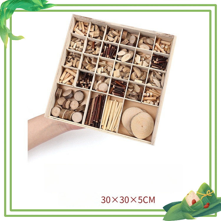 Cành trang trí thủ công làm handmade vật liệu tự nhiên Steam mầm non - học sinh