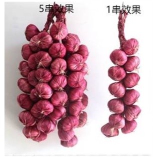 Dây củ quả, dây nông sản trang trí chợ quê , nhà hàng, khách sạn, lớp học mầm non