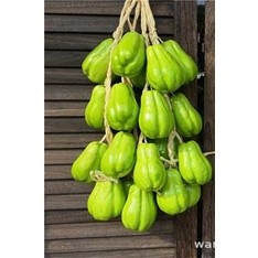 Dây củ quả, dây nông sản trang trí chợ quê , nhà hàng, khách sạn, lớp học mầm non