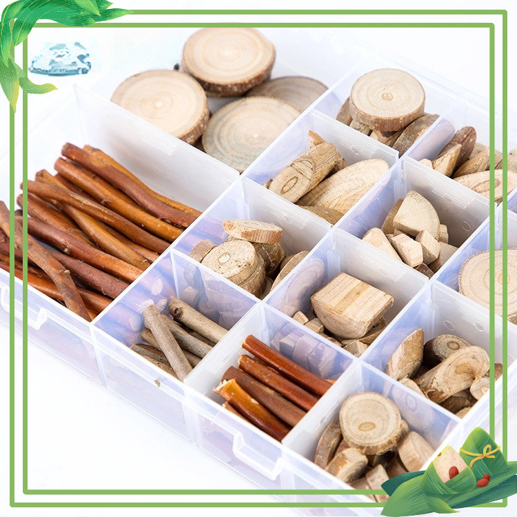 Cành trang trí thủ công làm handmade vật liệu tự nhiên Steam mầm non - học sinh