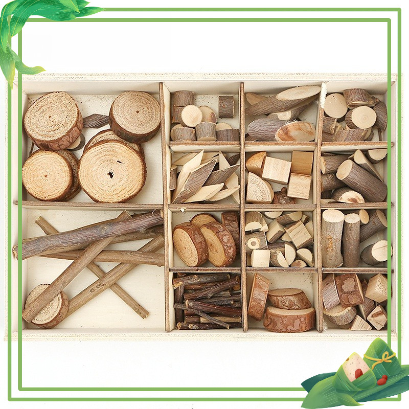 Cành trang trí thủ công làm handmade vật liệu tự nhiên Steam mầm non - học sinh