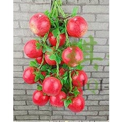 Dây củ quả, dây nông sản trang trí chợ quê , nhà hàng, khách sạn, lớp học mầm non