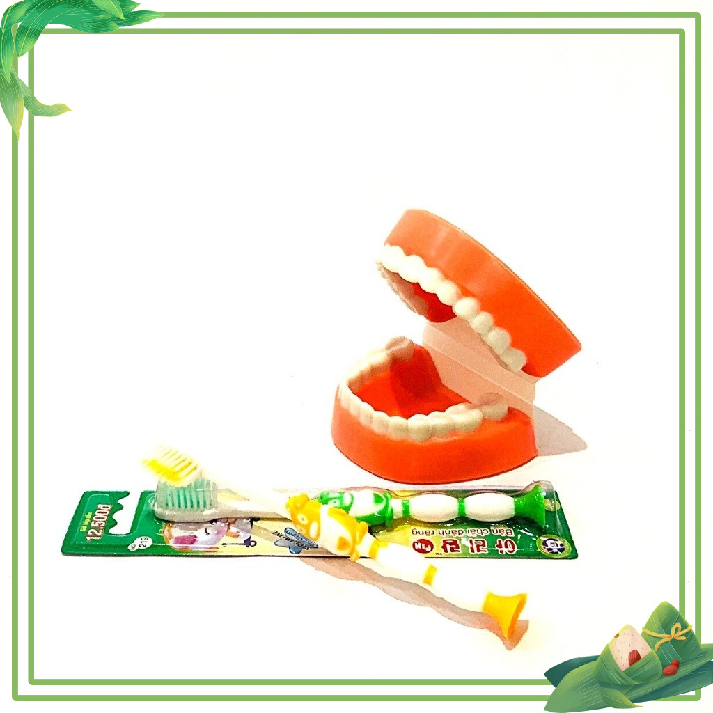 Mô hình hàm răng mô phỏng hàm răng của con người đồ dùng mầm non theo TT02