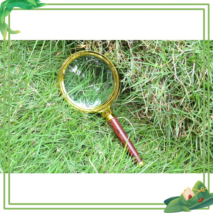 Kính Lúp Vân Gỗ Cầm Tay Đọc Sách báo Độ Phân Giải Cao 3D Magnifier MD3G