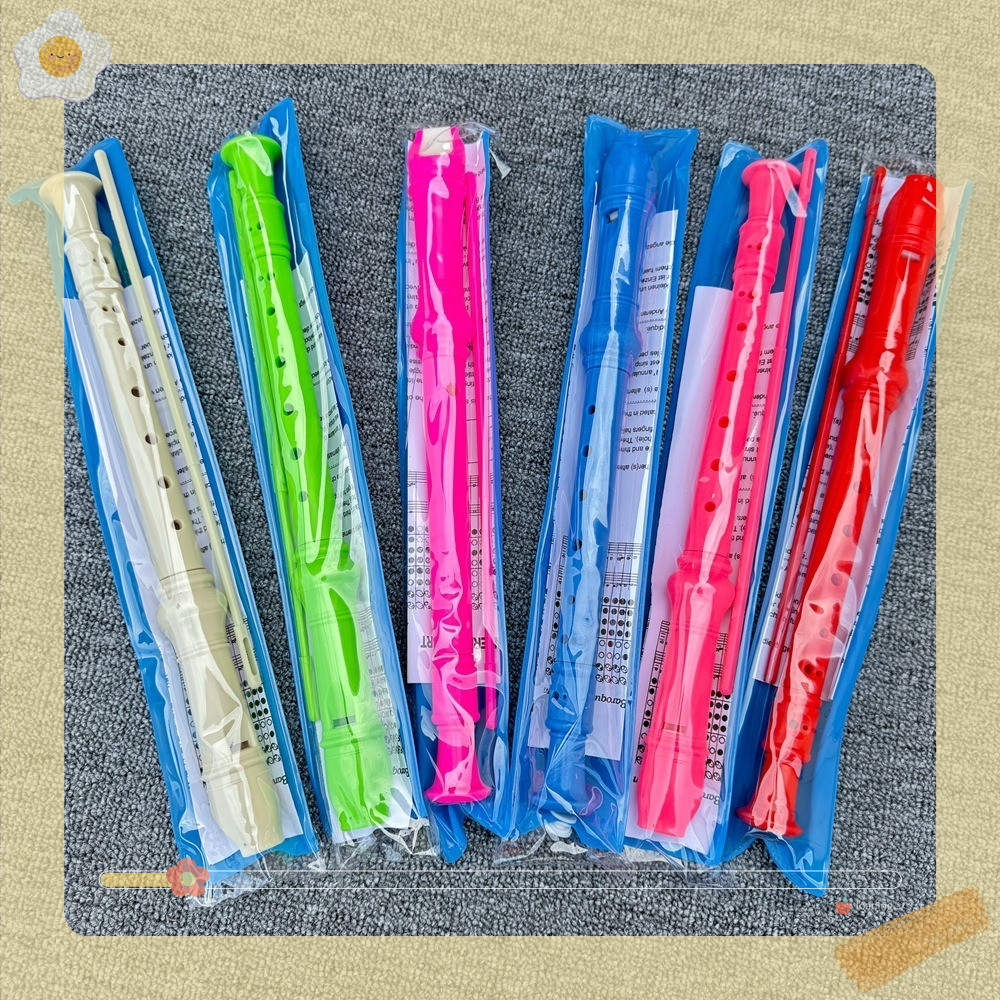 Sáo học nhạc học sinh,sáo dọc Recorder 8 lỗ DHS rẻ,đẹp kèm que vệ sinh,túi đựng ( hàng loại 1)
