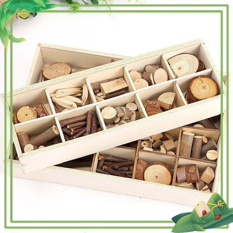 Cành trang trí thủ công làm handmade vật liệu tự nhiên Steam mầm non - học sinh