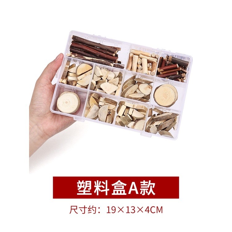 Cành trang trí thủ công làm handmade vật liệu tự nhiên Steam mầm non - học sinh