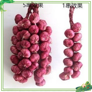 Dây củ quả, dây nông sản trang trí chợ quê , nhà hàng, khách sạn, lớp học mầm non