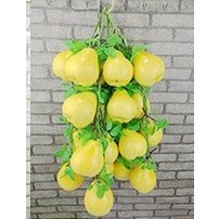 Dây củ quả, dây nông sản trang trí chợ quê , nhà hàng, khách sạn, lớp học mầm non