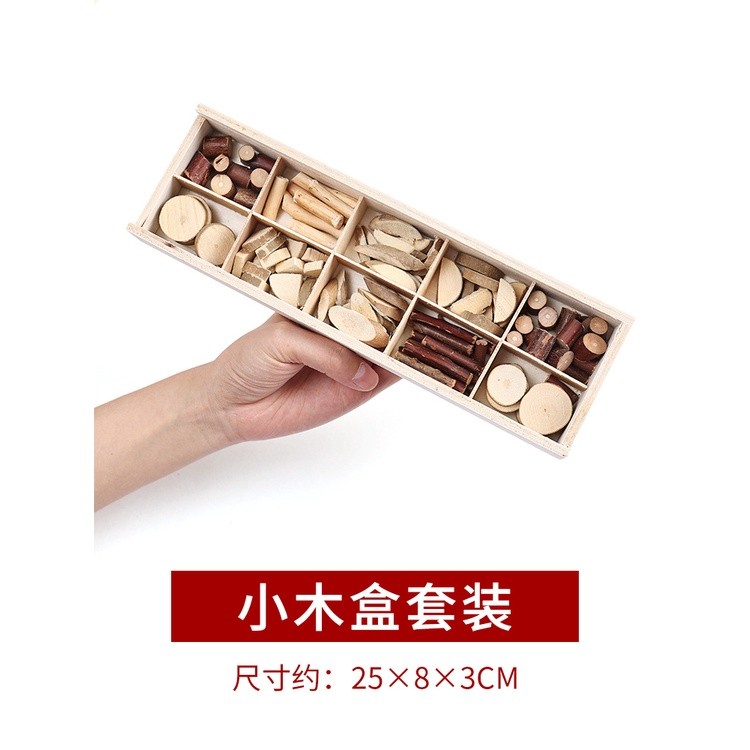 Cành trang trí thủ công làm handmade vật liệu tự nhiên Steam mầm non - học sinh