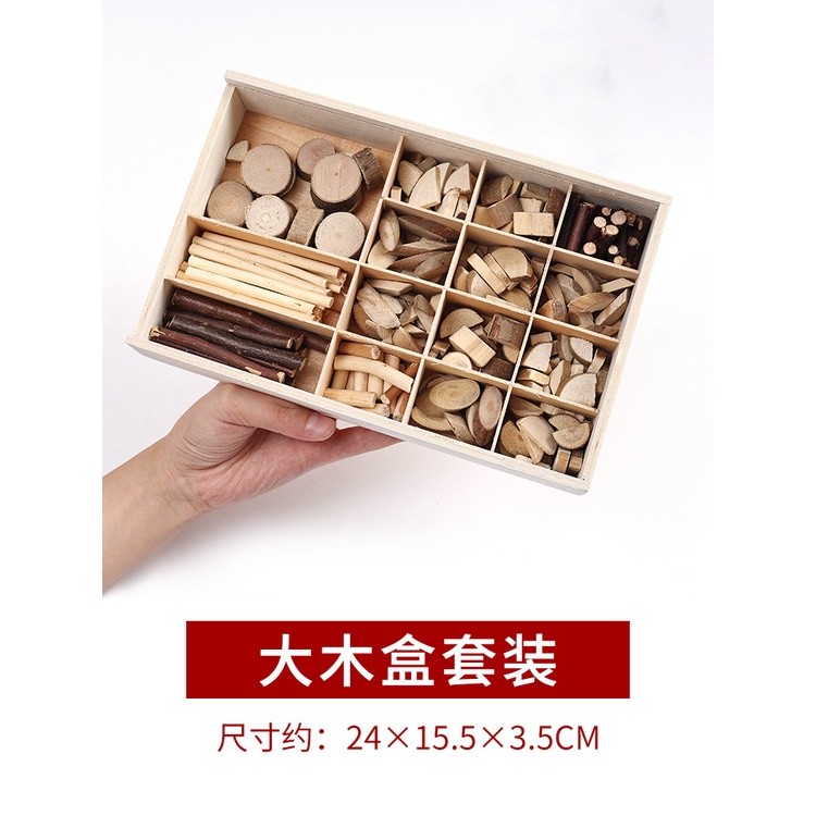 Cành trang trí thủ công làm handmade vật liệu tự nhiên Steam mầm non - học sinh