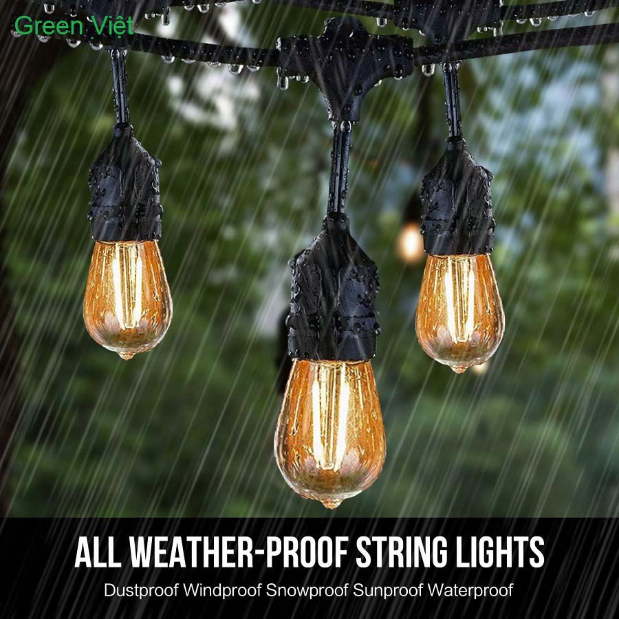 Dây led quả nhót 10m 20 bóng QN02