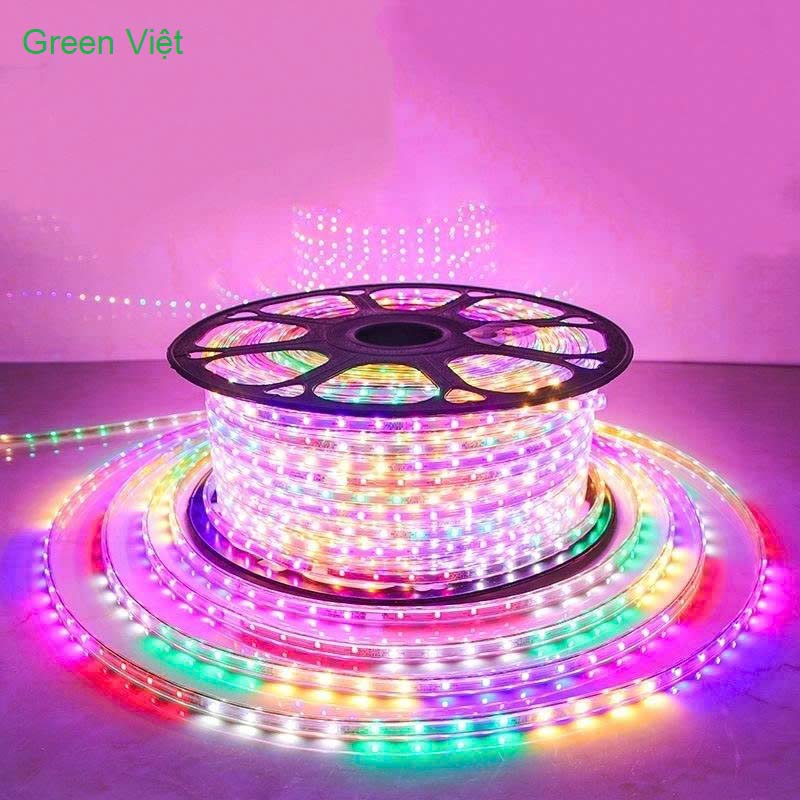 Cuộn led trang trí dây đôi 2835 - 5730 - 100m