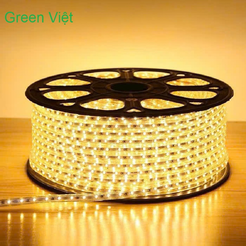 Dây led trang trí và quán cây LDC02 Led 2 Hàng Vàng Ấm