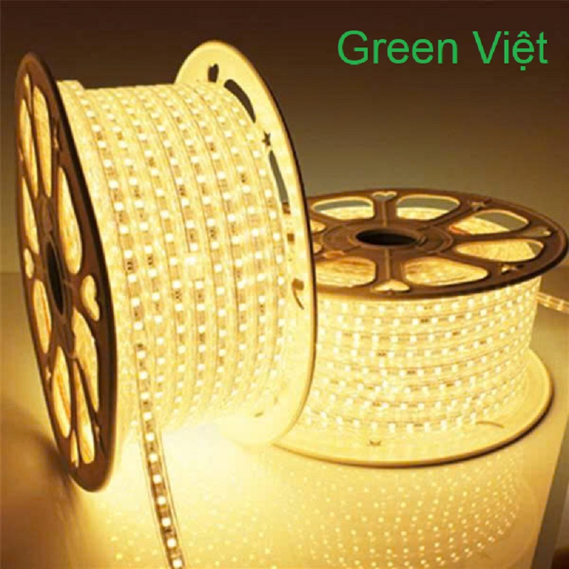 Dây led trang trí và quán cây LDC02 Led 2 Hàng Vàng Ấm