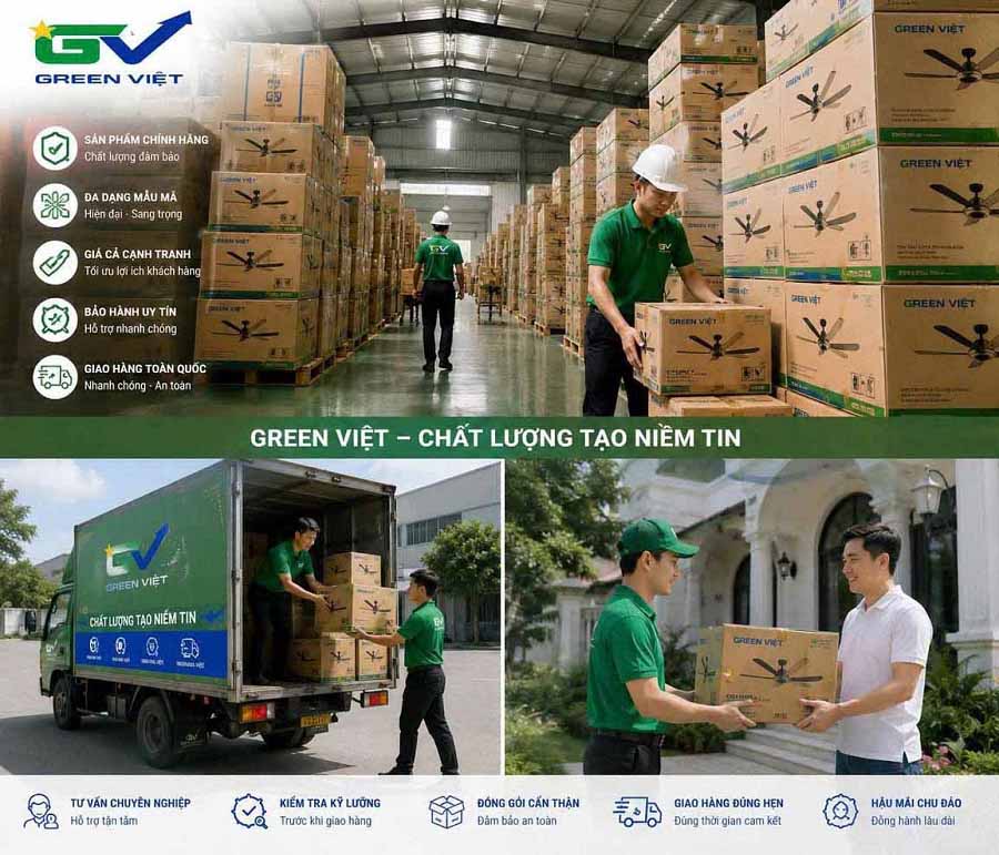 Lăp Quạt Trần Đèn Hồ Chí Minh