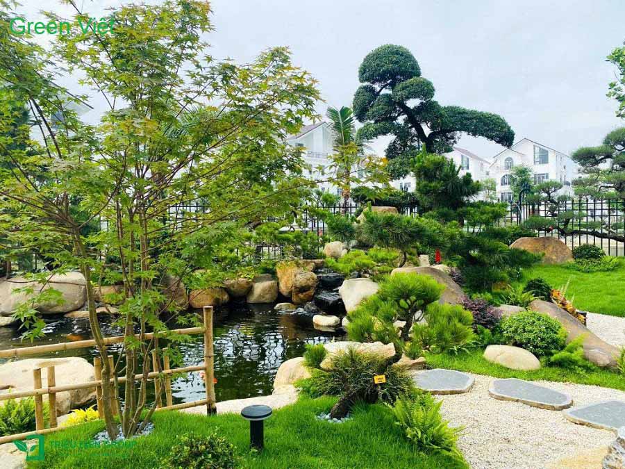 Mẫu Sân Vườn Đẹp 2026