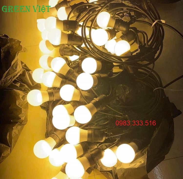 Dây led quả nhót 10m 20 bóng QN02 trang trí quán cà phê, quán trà chanh và nhà hàng