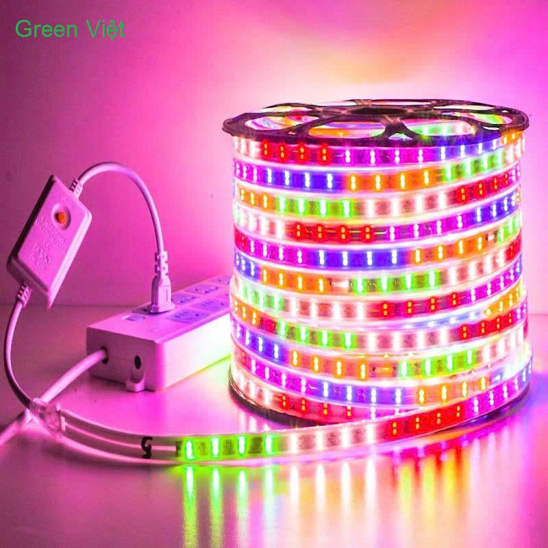 Cuộn led trang trí dây đôi 2835 - 5730 - 100m (2 hàng led đôi)