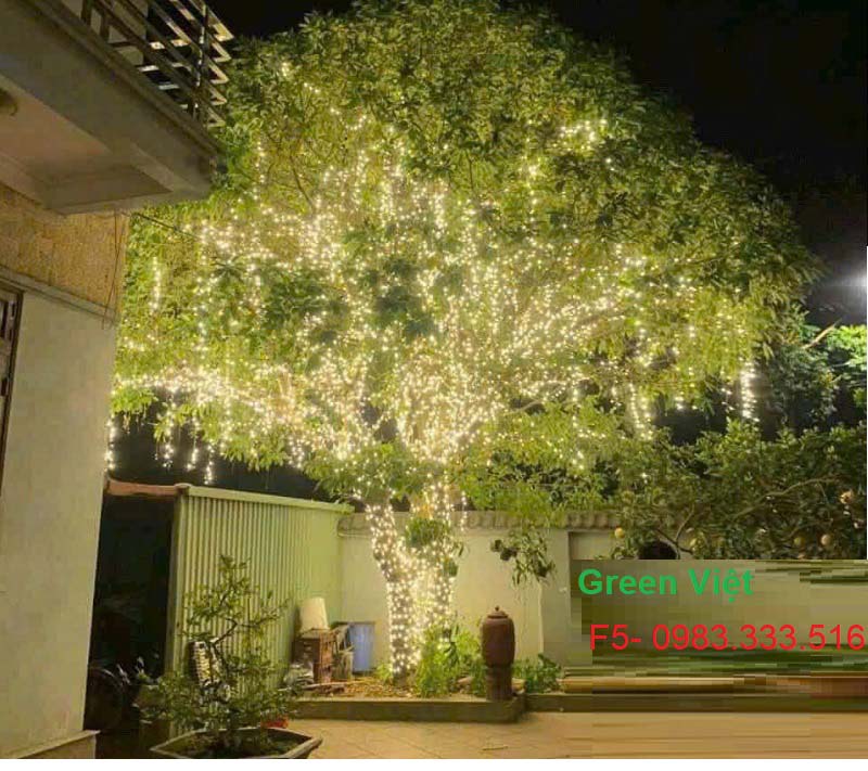 Dây đèn Led trang trí quấn cây ngoài trời F5 LF05