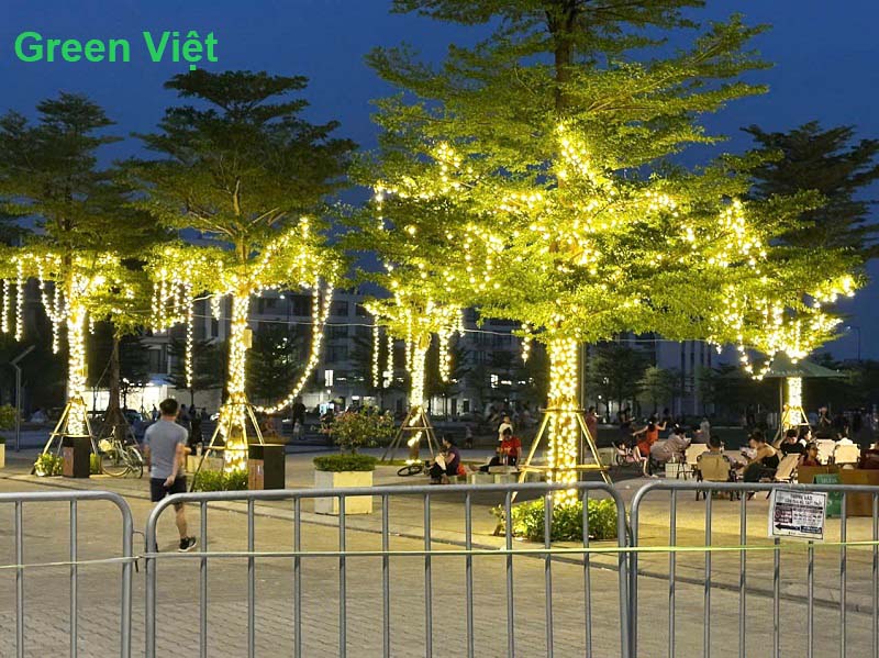 Dây led Trang Trí Cây Chống Nước DLN05 F5