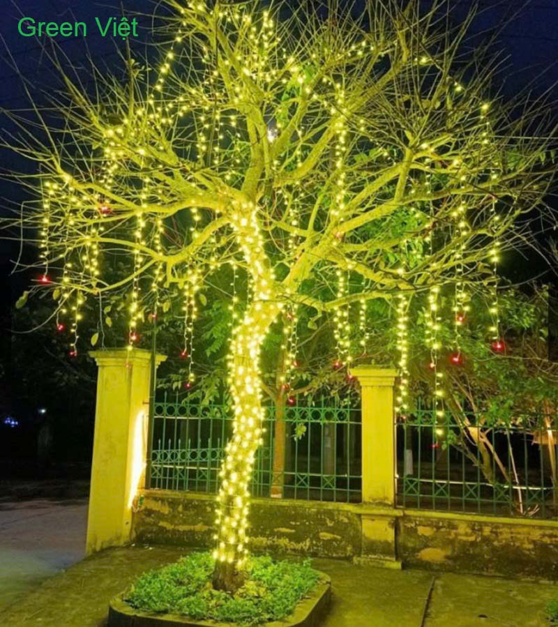 Dây led Trang Trí Cây Chống Nước DLN05 F5