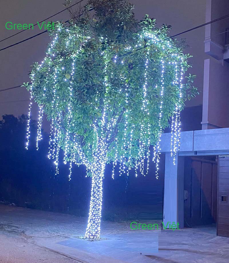 Dây led Trang Trí Cây Chống Nước DLN05 F5