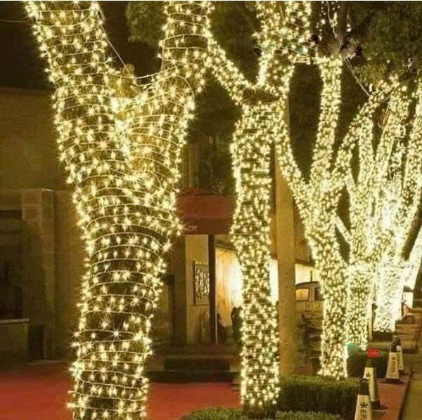 Combo led trang trí quấn cây ngoài trời f5 LF5 chống nước