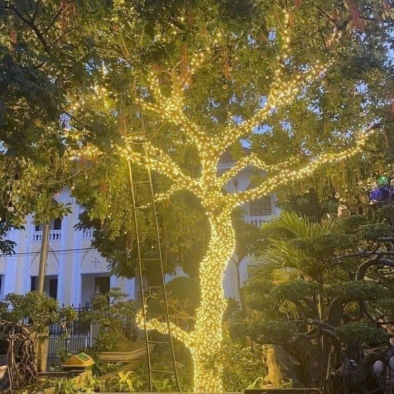 Dây led trang trí quấn cây F5 vàng nắng VN01