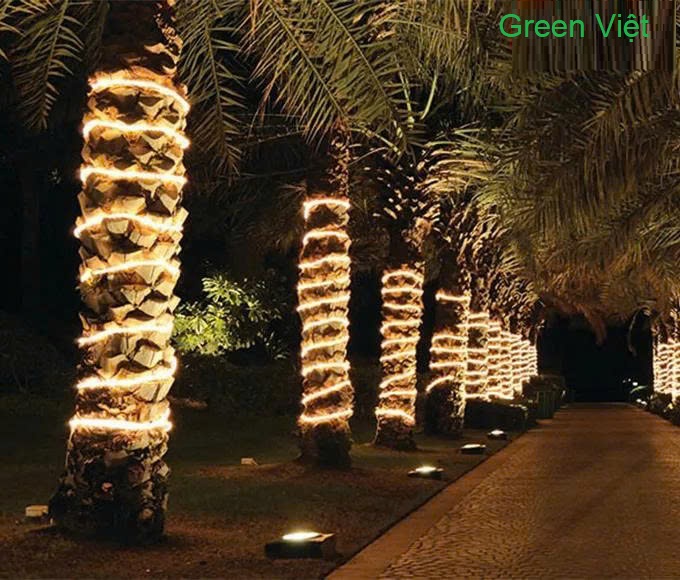 Dây led trang trí và quán cây LDC02 Led 2 Hàng