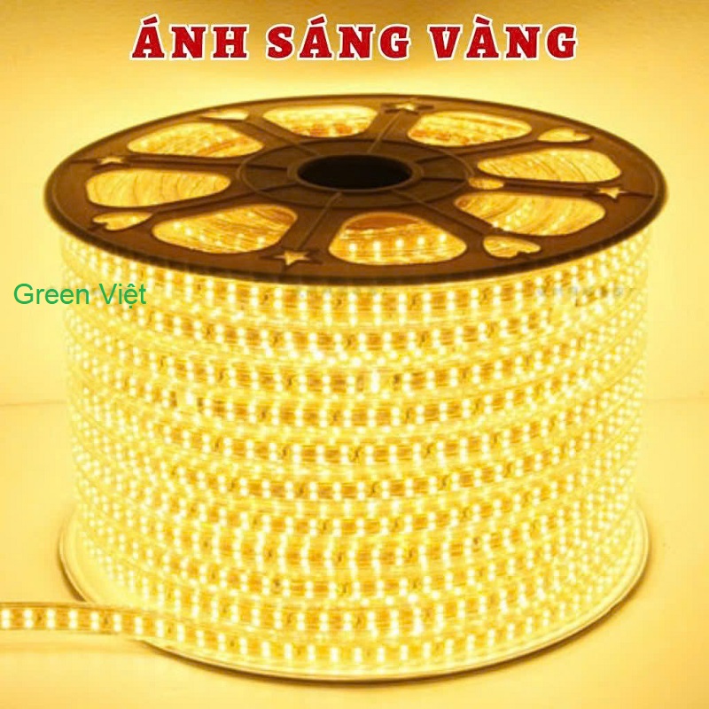 Dây led trang trí và quán cây LDC02 Led 2 Hàng Vàng Ấm
