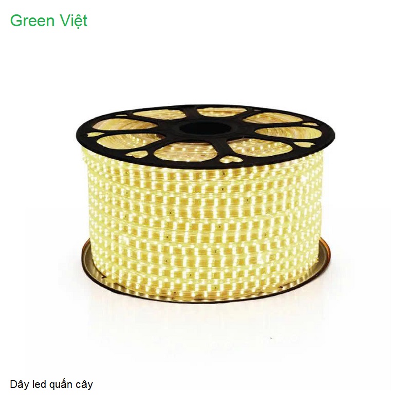 Dây led trang trí và quán cây LDC02 Led 2 Hàng Vàng Ấm