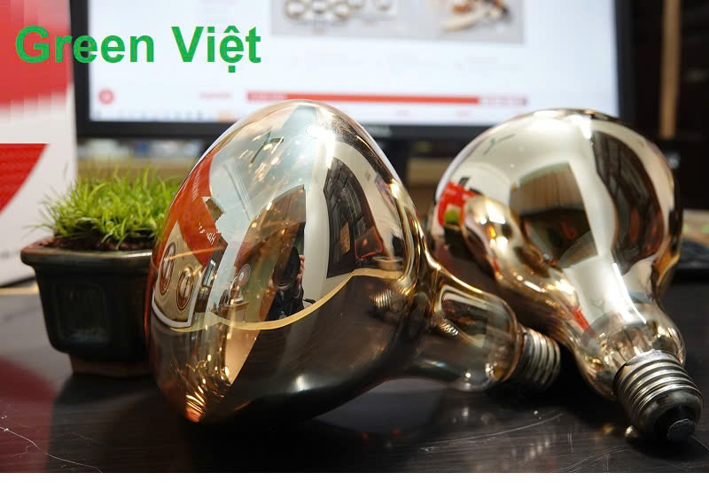 Bóng Đèn Sưởi BDS01 275W