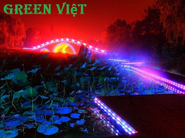 Cuộn led trang trí dây đôi 2835 - 5730 - 100m (2 hàng led đôi)