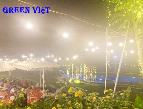 Dây đèn trang trí đủ kích thước 10m 20 bóng Green Việt