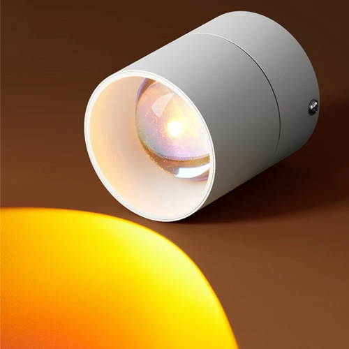 Đèn led ống bơ 20w rọi tranh gắn trần