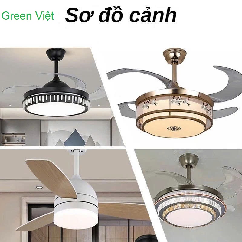 Lăp Quạt Trần Đèn Hồ Chí Minh