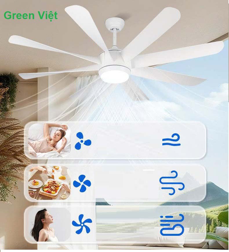 Quạt Trần Đèn Cao Cấp QTKP158