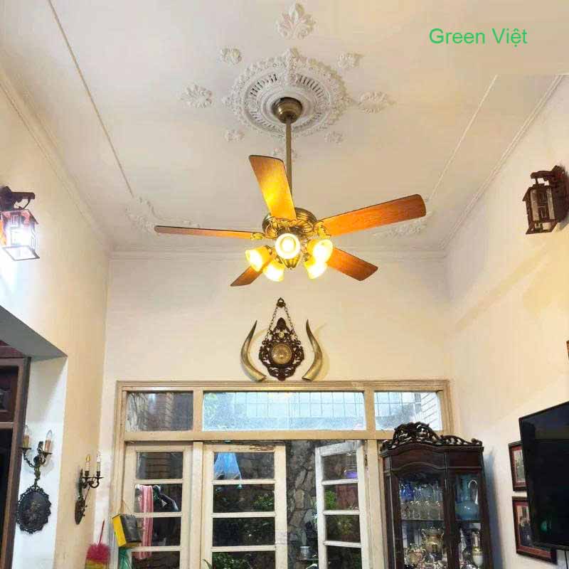 Quạt trần đèn lắp phòng khách QTDG010 Cao Cấp
