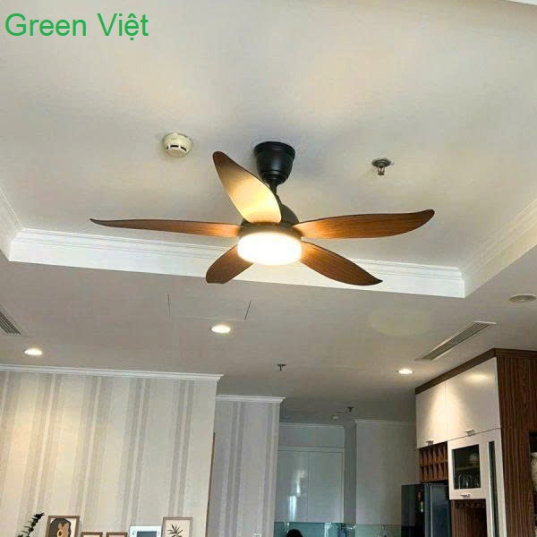 Quạt Trần Đèn VSM48D Lắp Phòng Khách