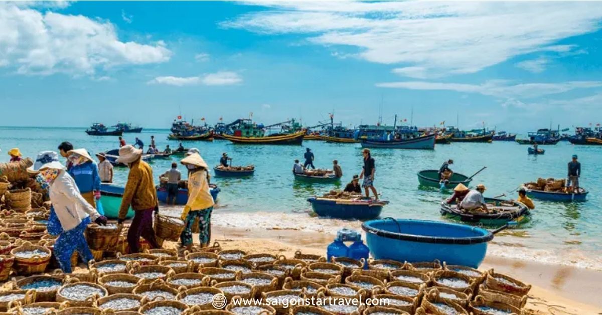 Danh Sách Các Vựa Hải Sản Mũi Né Uy Tín